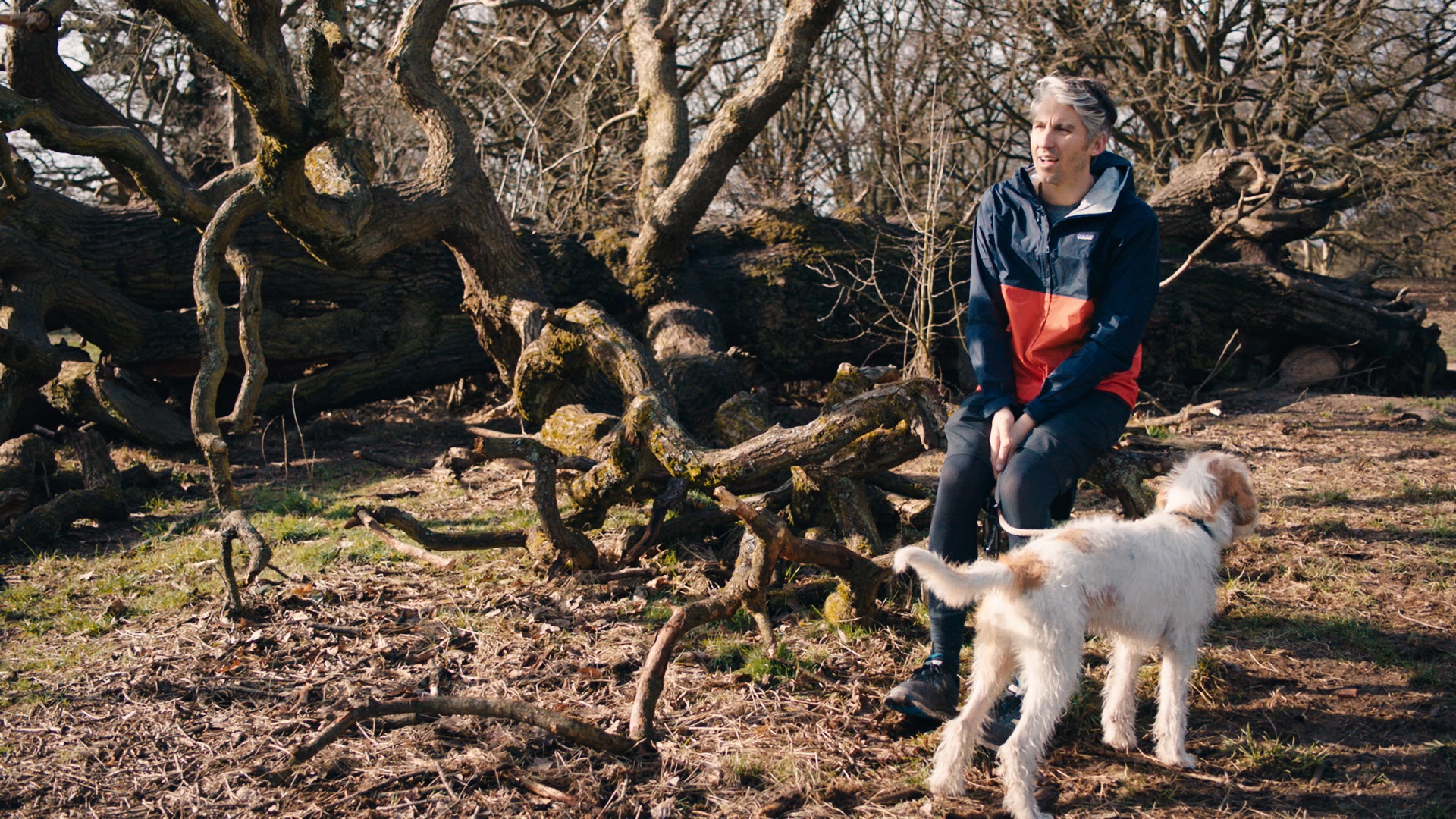 At Home on Channel 5 - Channel 5 Creative - image 8