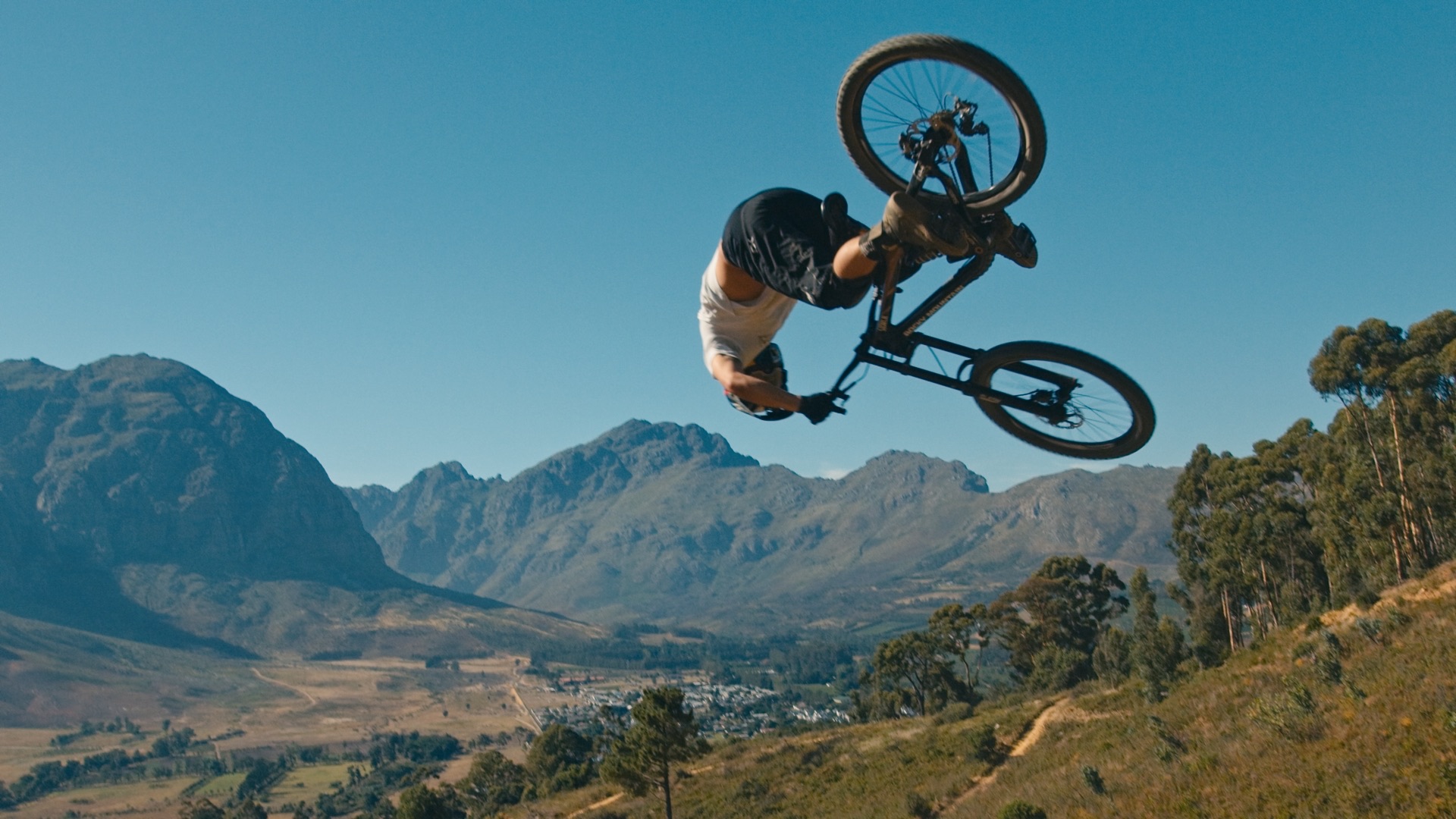 DarkFest - Aspect Media - image 12