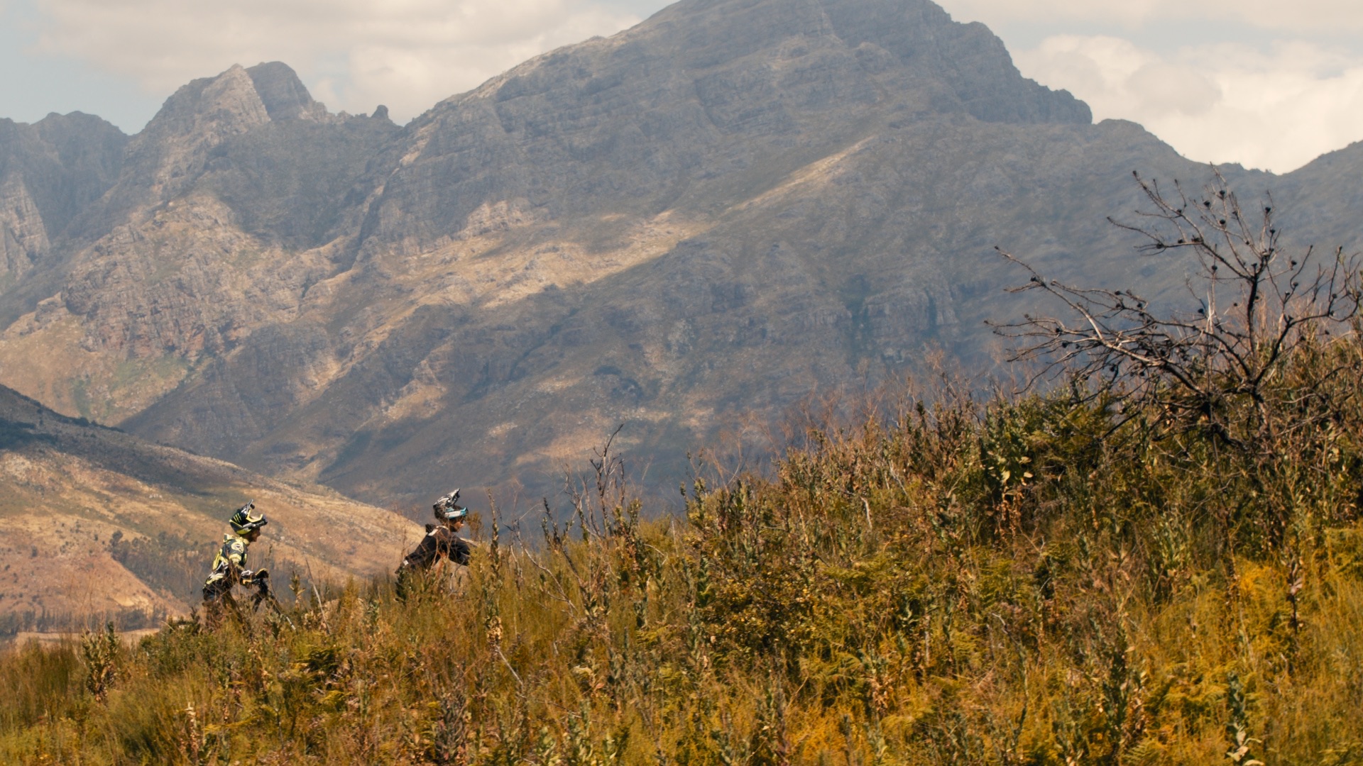 DarkFest - Aspect Media - image 24