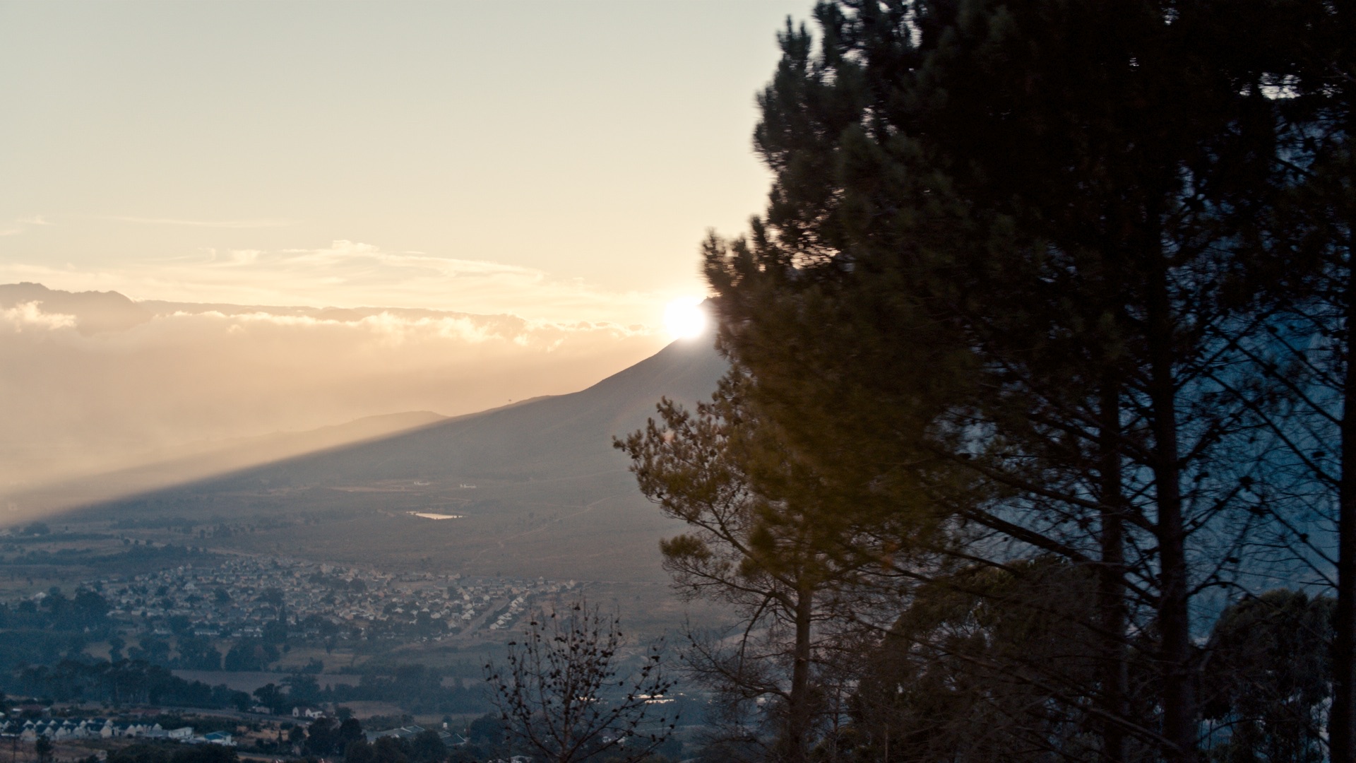 DarkFest - Aspect Media - image 3