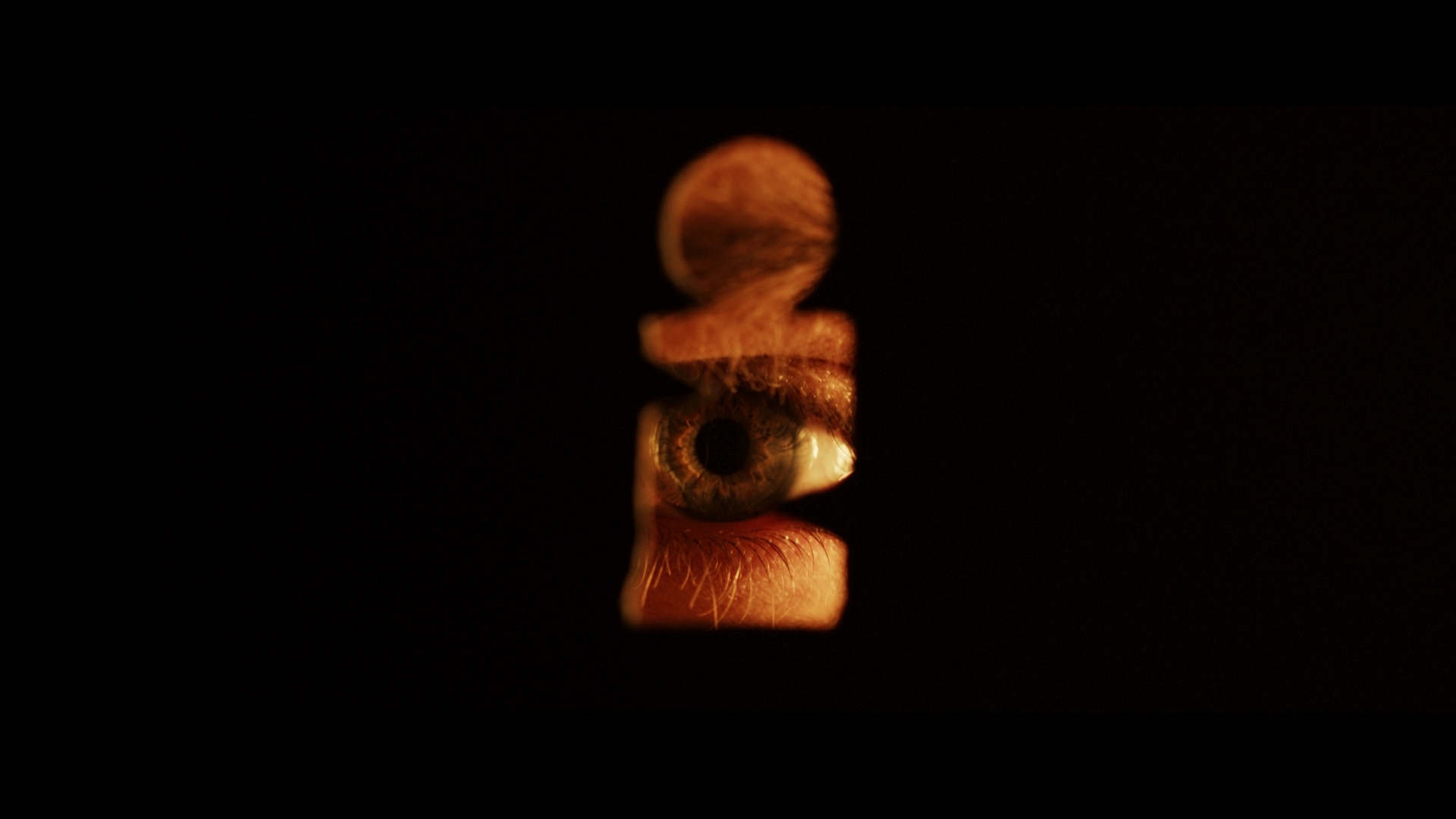 Hackett - The Gifting Machine - Electric Robin - image 5