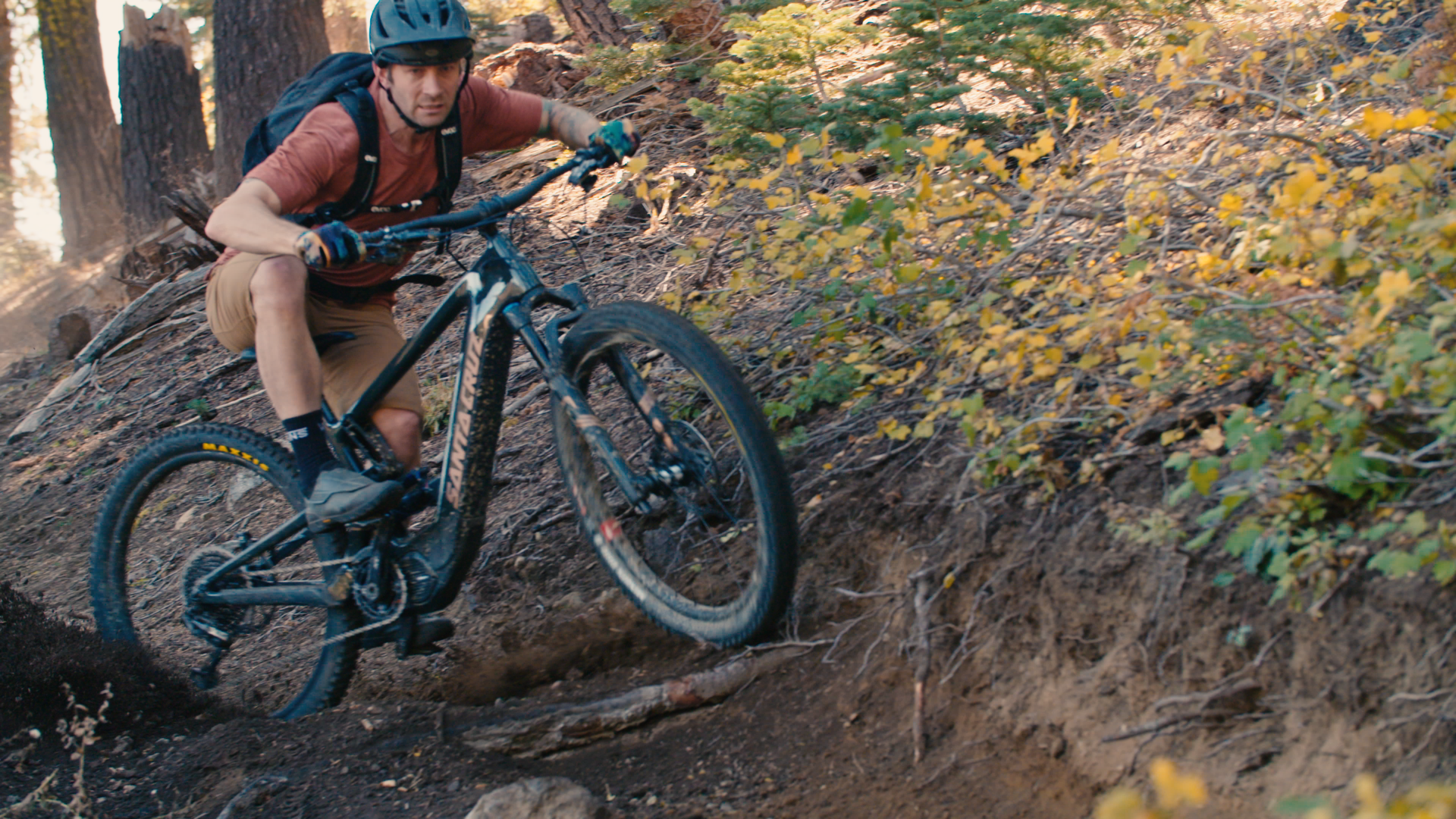 Santa Cruz The Heckler - Cut Media