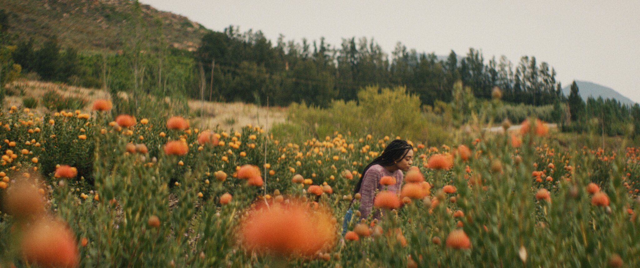 South African Tourism - DS Films x BBC Storyworks - image 9